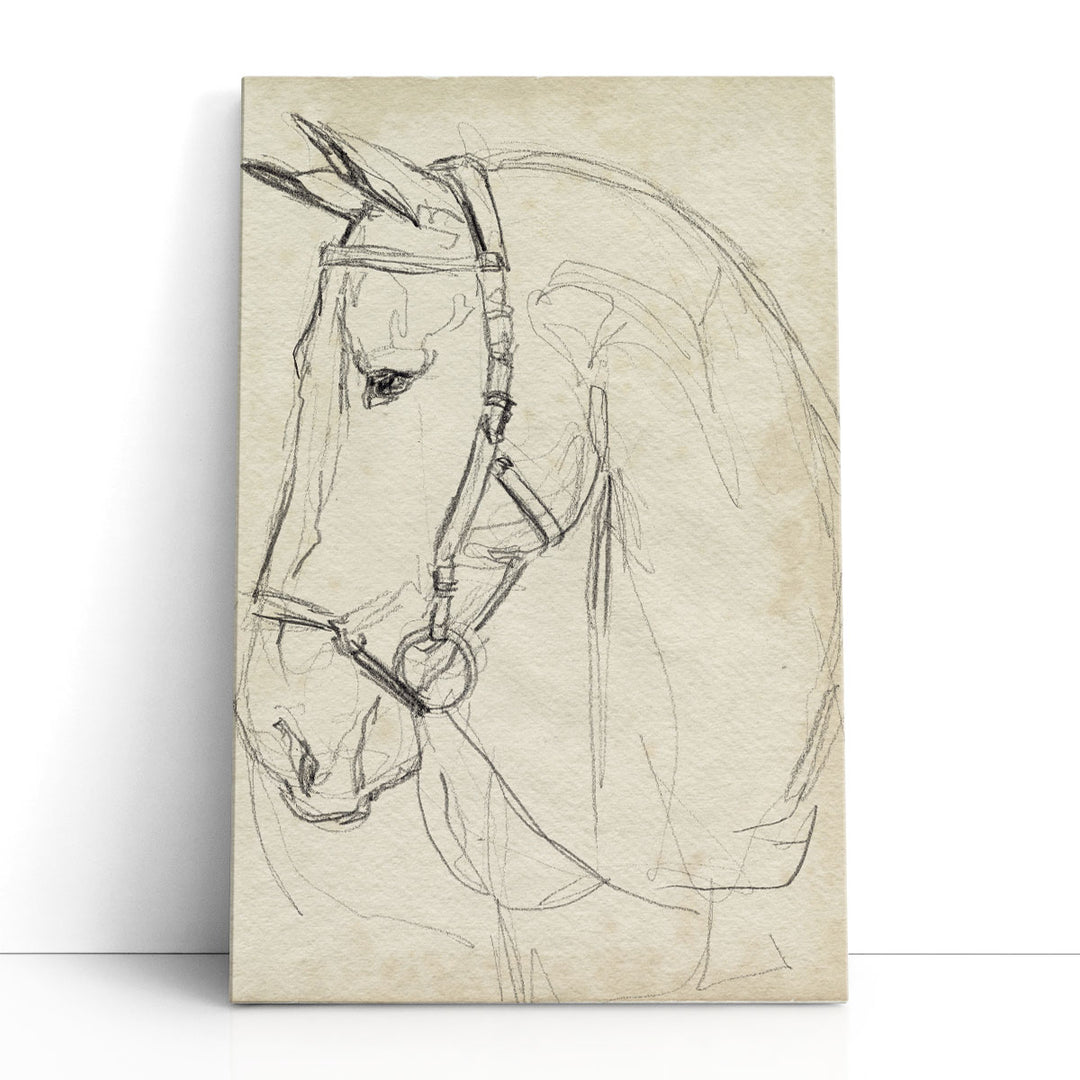 Horse in Bridle Sketch II - Canvas Print Wall Art