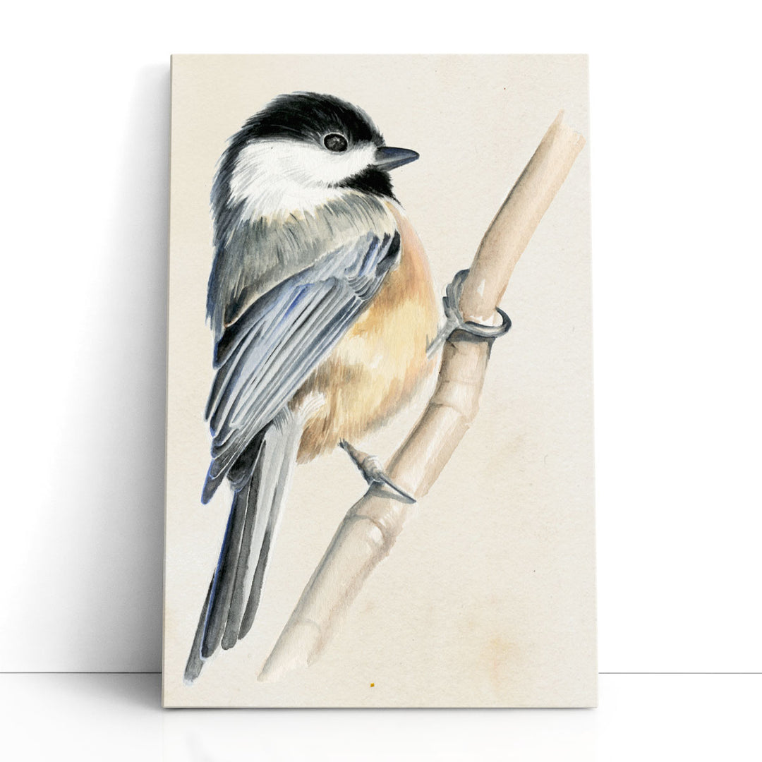Little Bird on Branch II - Canvas Print Wall Art