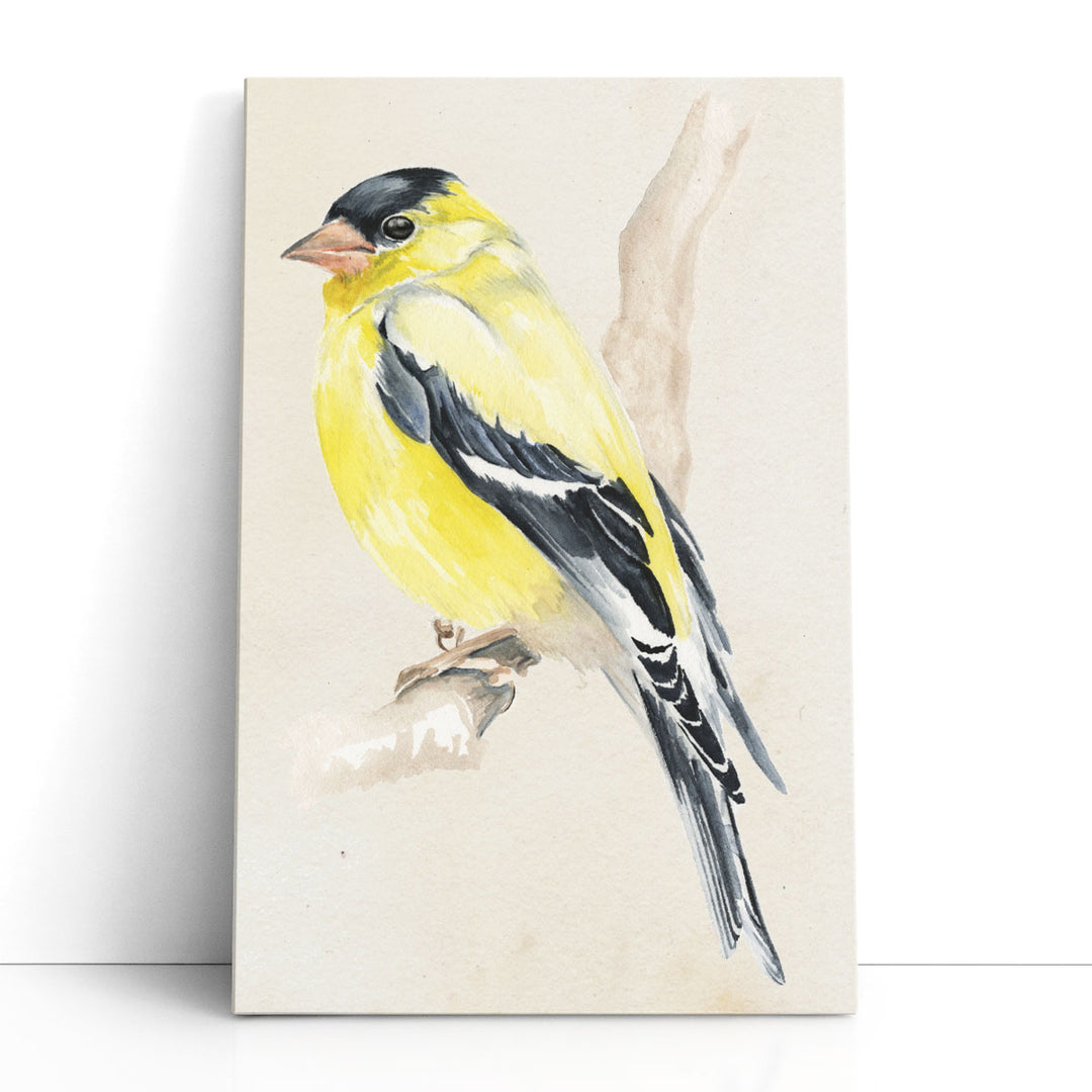 Little Bird on Branch III - Canvas Print Wall Art