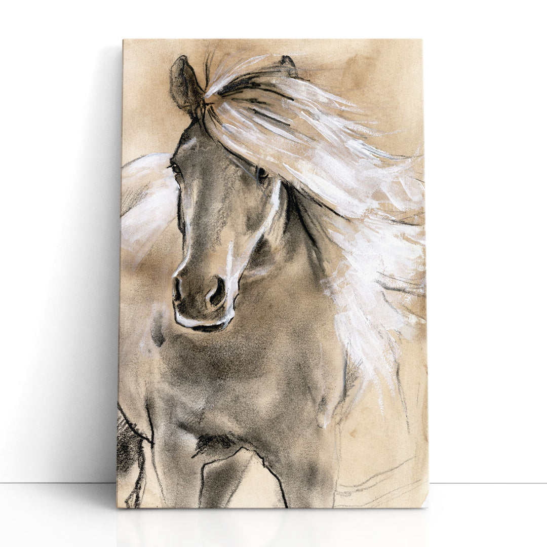 Sketched Horse I - Canvas Print Wall Art