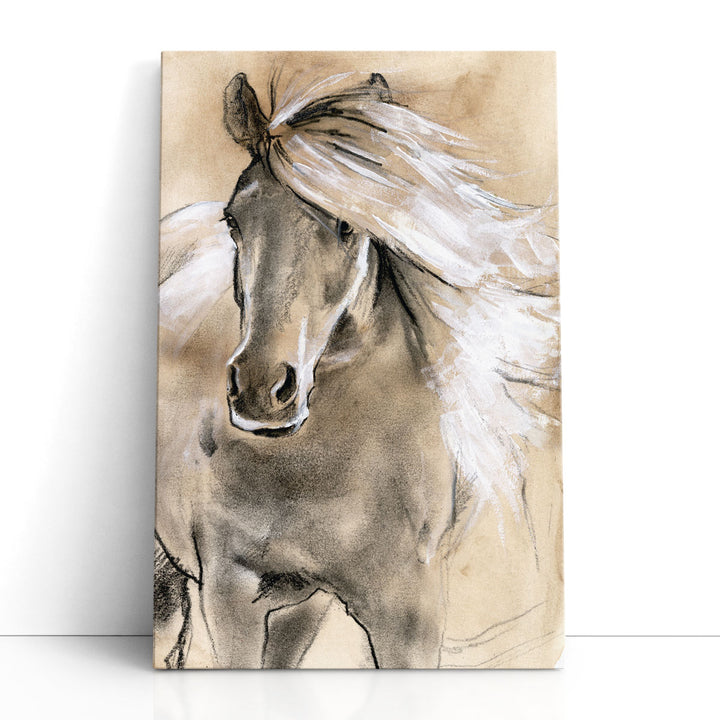 Sketched Horse I - Canvas Print Wall Art