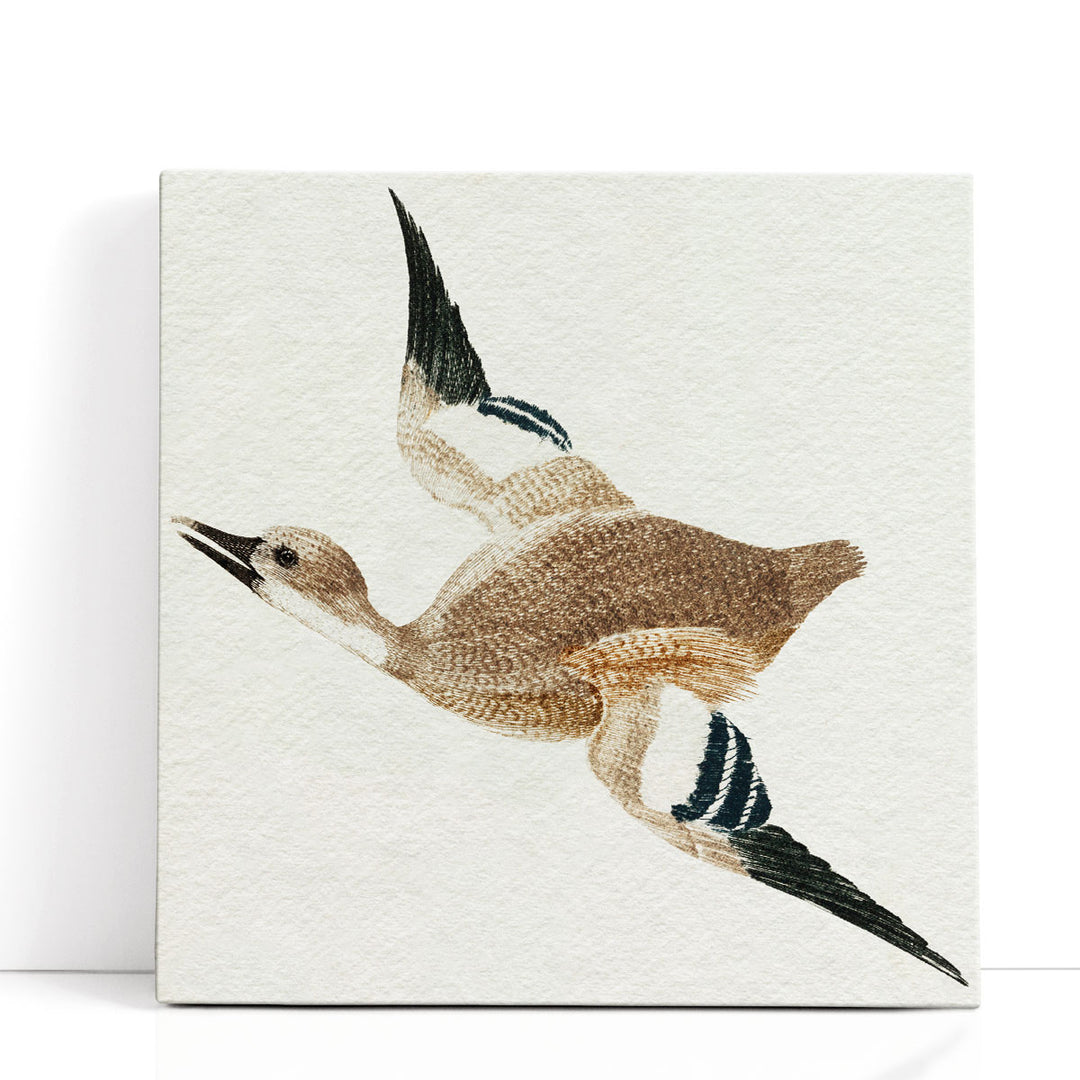Flying Ducks II - Canvas Print Wall Art