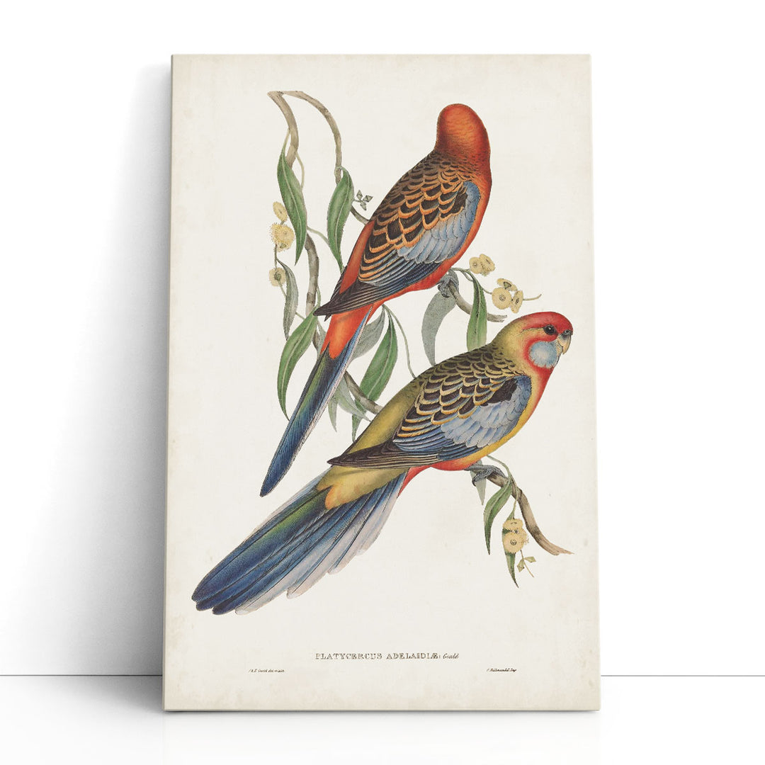 Tropical Parrots II - Canvas Print Wall Art