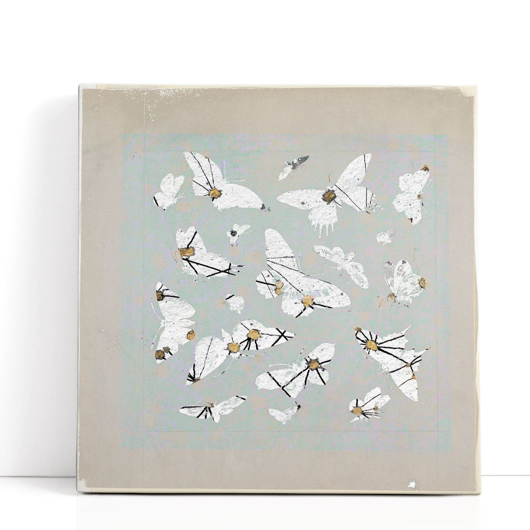19th Century Butterfly Constellations III - Canvas Print Wall Art