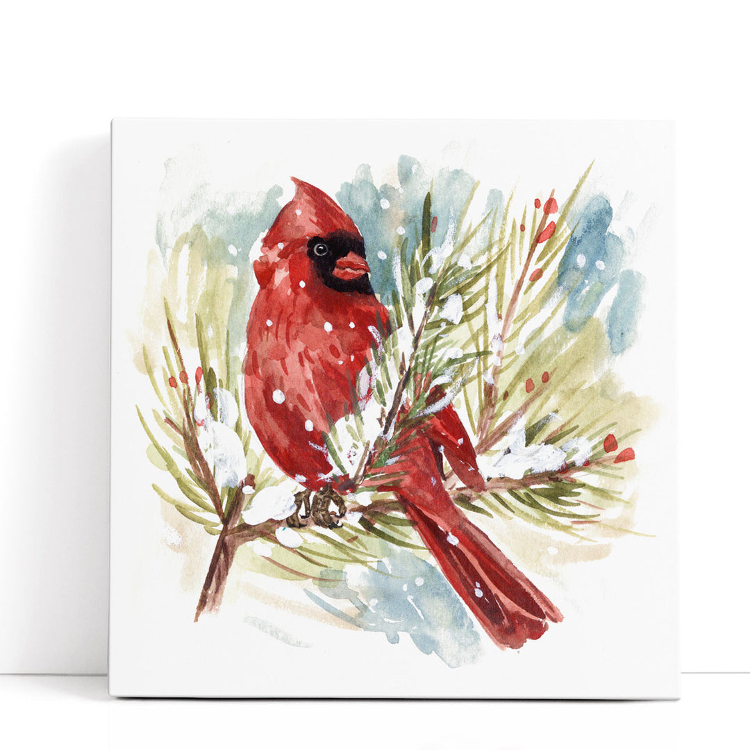 The Cardinal I - Canvas Print Wall Art