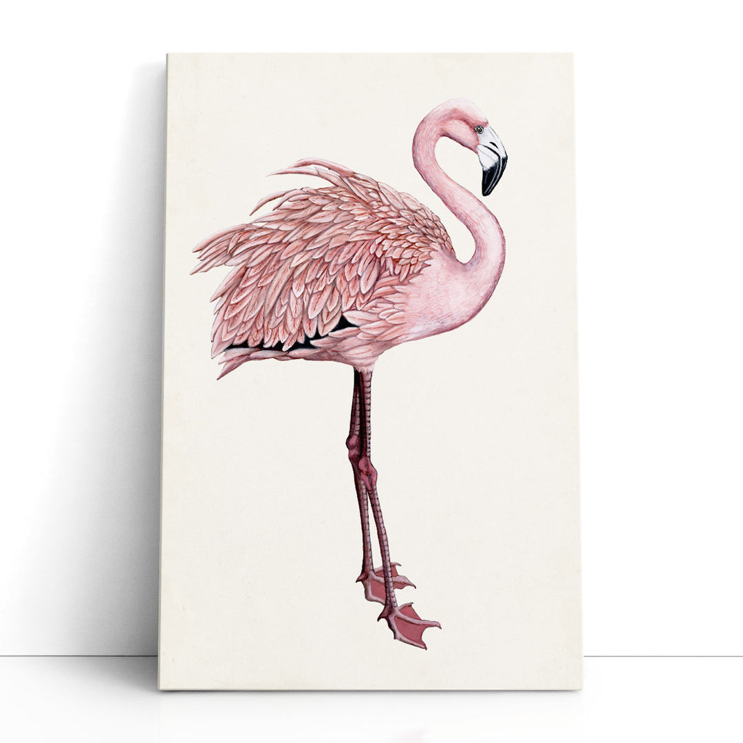 Striking Flamingo I - Canvas Print Wall Art