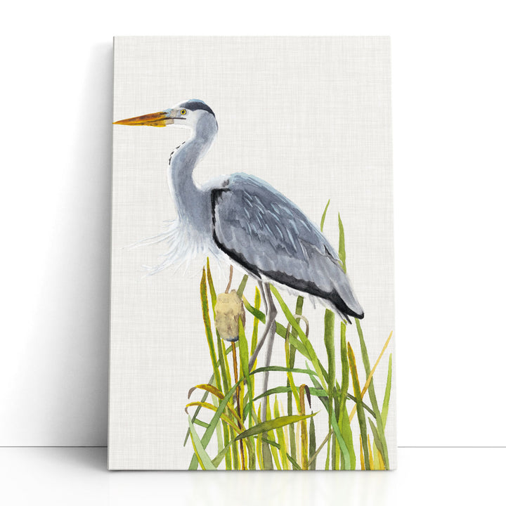 Waterbirds and Cattails II - Canvas Print Wall Art