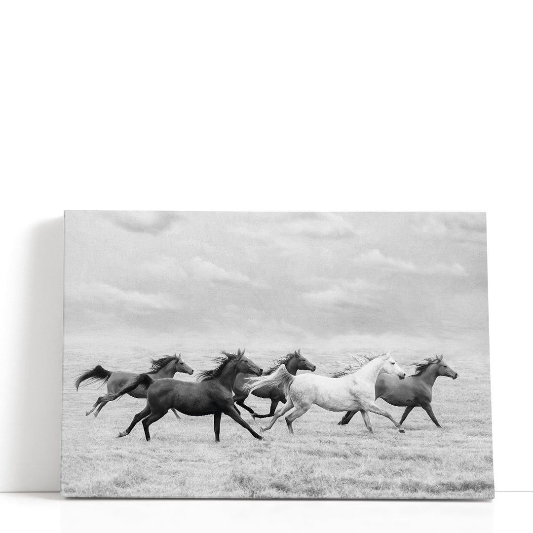 Horse Run I - Canvas Print Wall Art