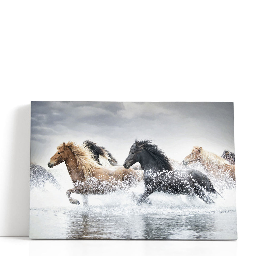 Horse Run V - Canvas Print Wall Art