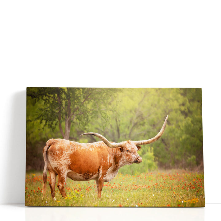 Sunlit Midwest I - Canvas Print Wall Art
