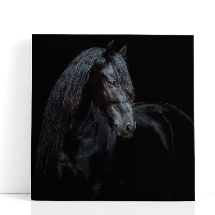 Equine Portrait XI - Canvas Print Wall Art