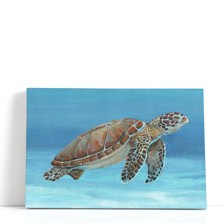 Ocean Sea Turtle I - Canvas Print Wall Art