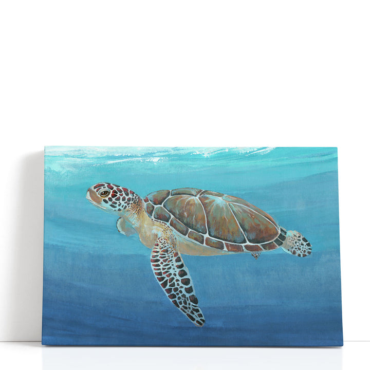 Ocean Sea Turtle II - Canvas Print Wall Art
