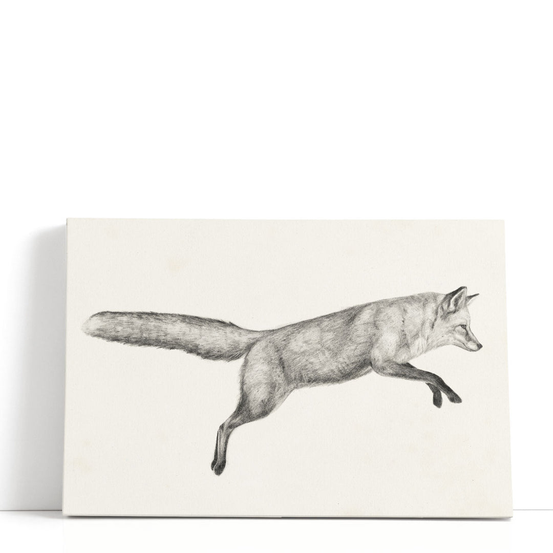 Flying Fox I - Canvas Print Wall Art