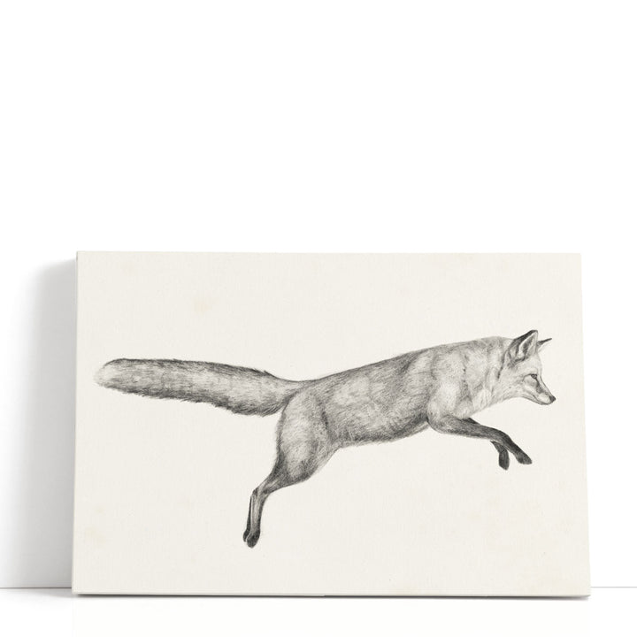 Flying Fox I - Canvas Print Wall Art