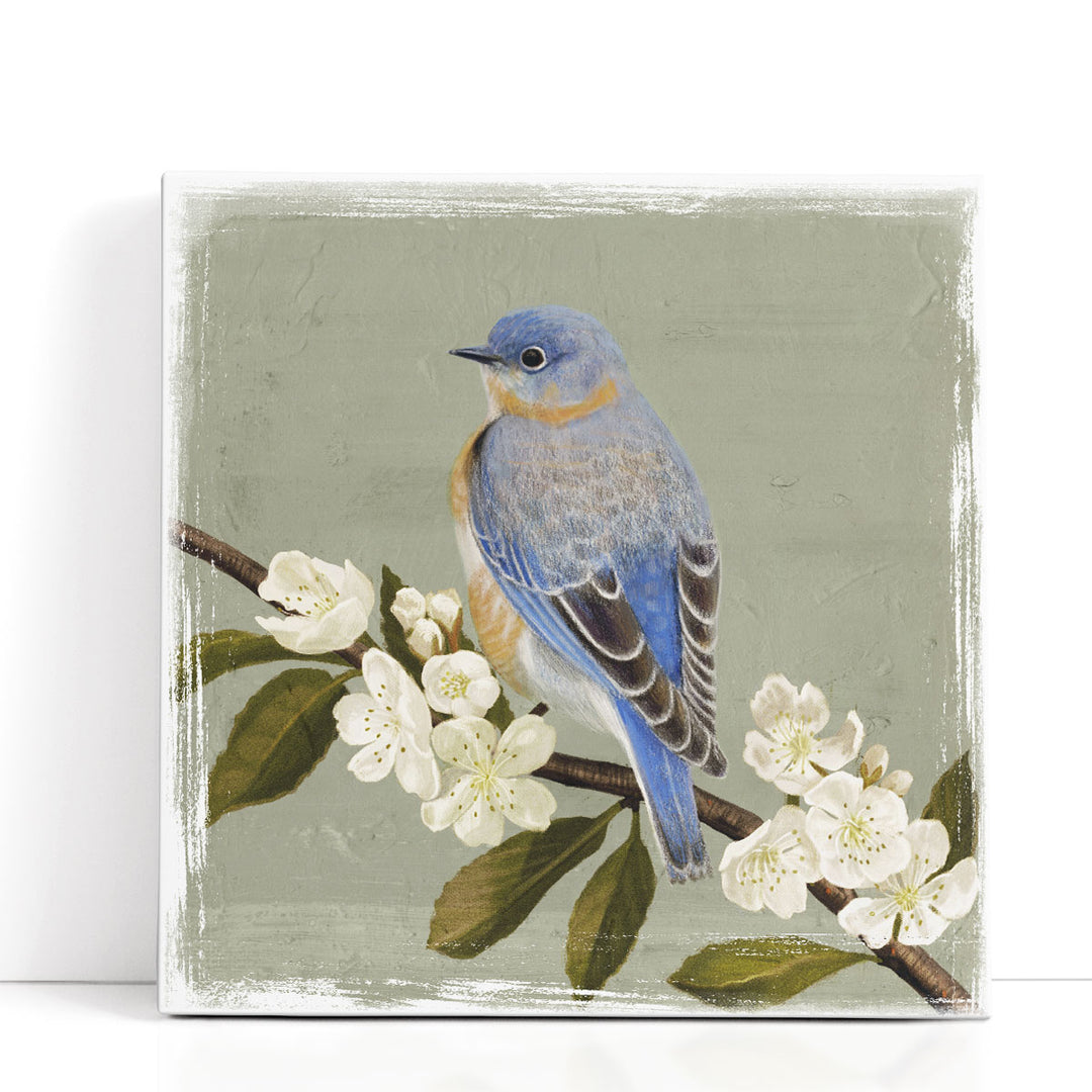 Bluebird Branch II- Canvas Print Wall Art