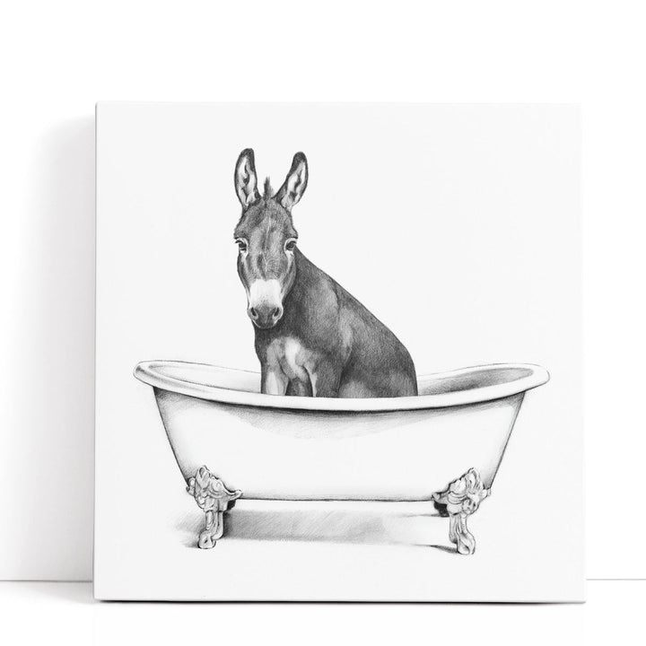 Clawfoot Critter IV - Canvas Print Wall Art