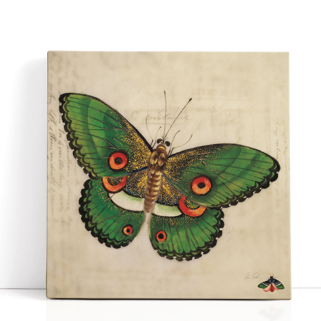 Whimsical insect wall décor with soft details