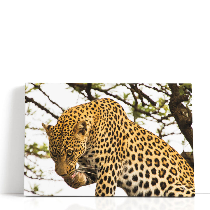 After Lunch - Canvas Print Wall Art