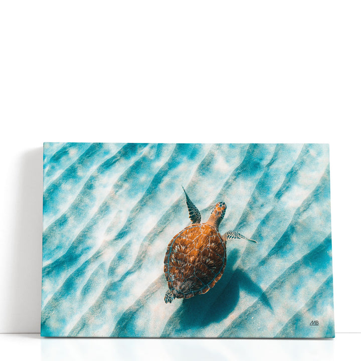 Sandbar Sea Turtle II - Canvas Print Wall Art