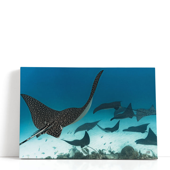 Ray Day I - Canvas Print Wall Art