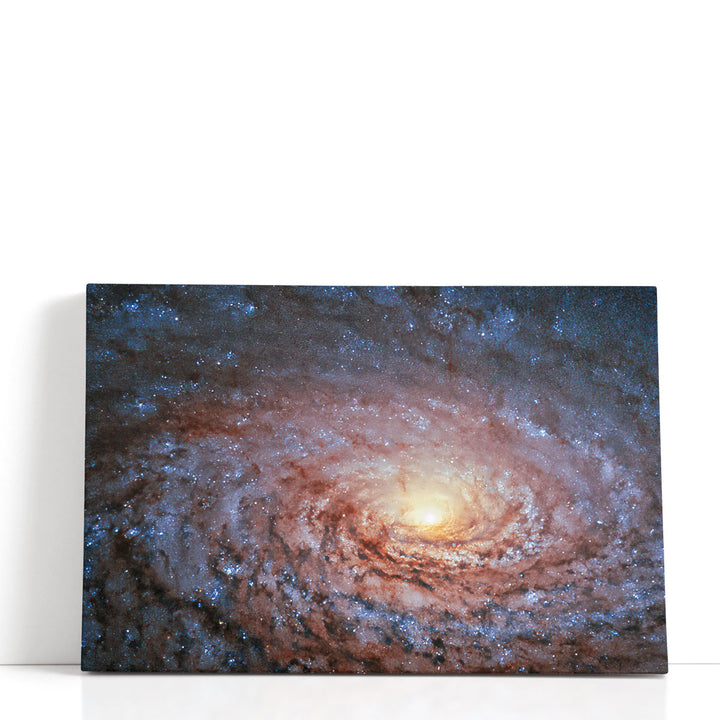 Galactic Sunflower - Canvas Print Wall Art