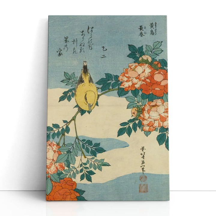 Black-Naped Oriole And China Rose, 1833 - Canvas Print Wall Art