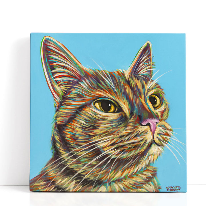 Rainbow Cat - Canvas Print Wall Art