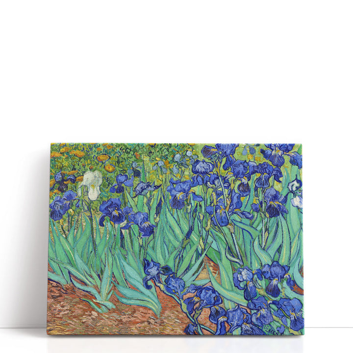 Irises, 1889 - Canvas Print Wall Art
