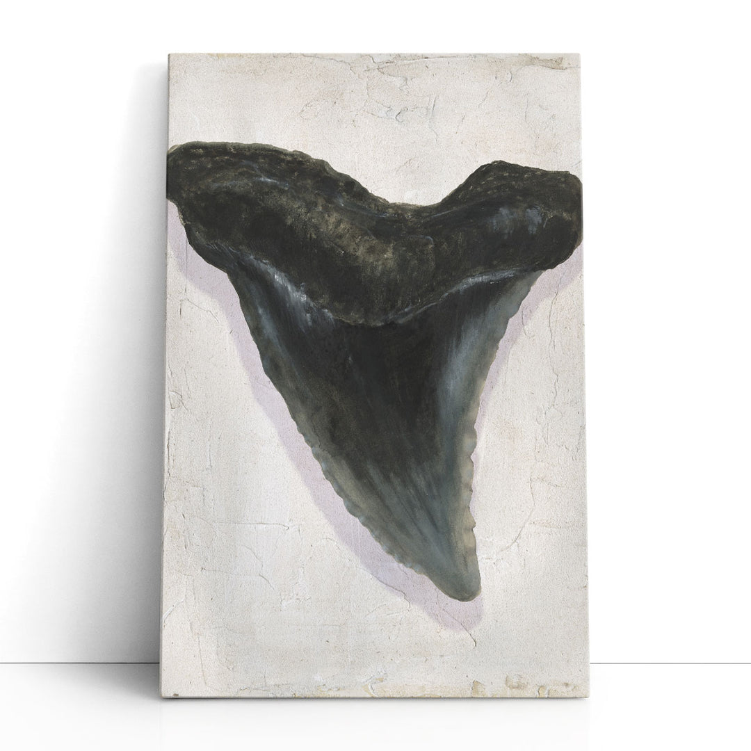Watercolor Sharks Tooth I Black and White - Canvas Print Wall Art