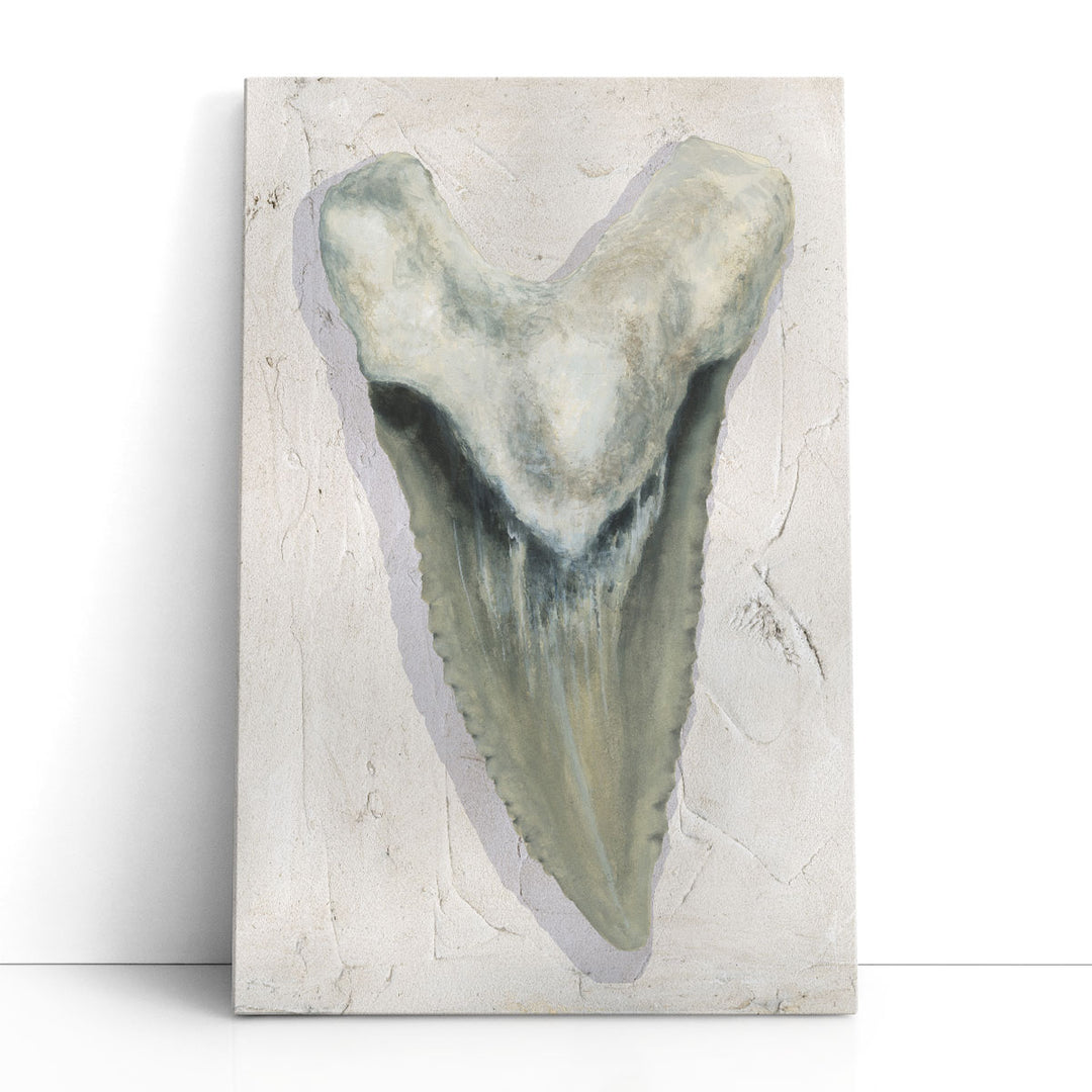 Watercolor Sharks Tooth II - Canvas Print Wall Art
