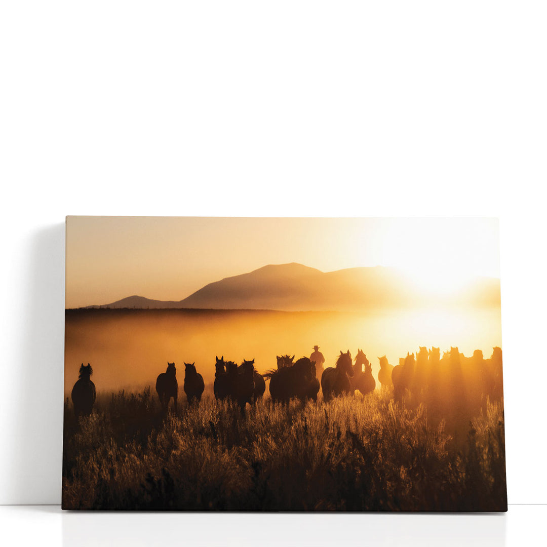 Coming in Hot - Canvas Print Wall Art