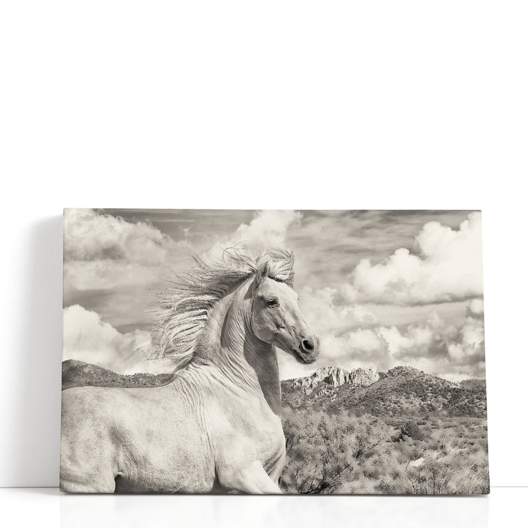 Free to Run - Canvas Print Wall Art