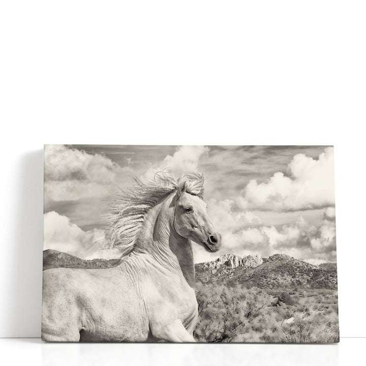 Free to Run - Canvas Print Wall Art