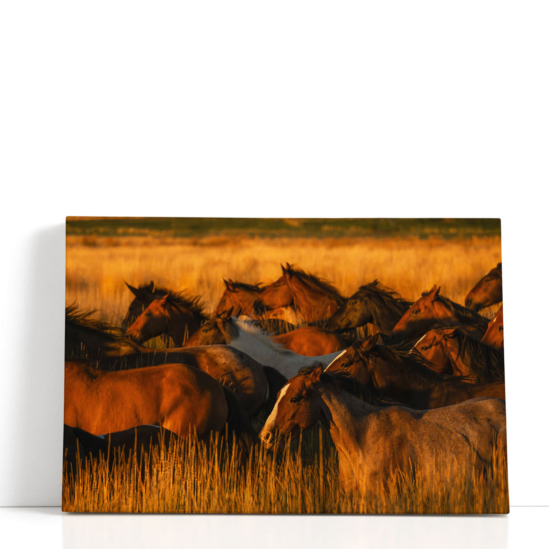 Golden Light - Canvas Print Wall Art