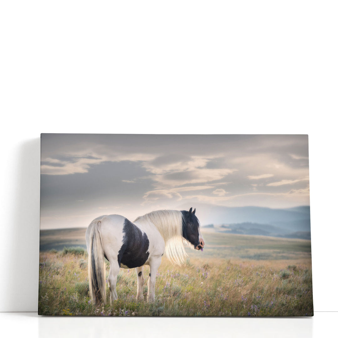 Gypsy Beauty - Canvas Print Wall Art