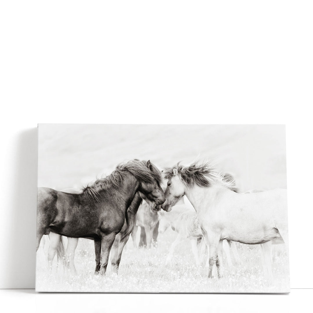 Let's Talk - Canvas Print Wall Art