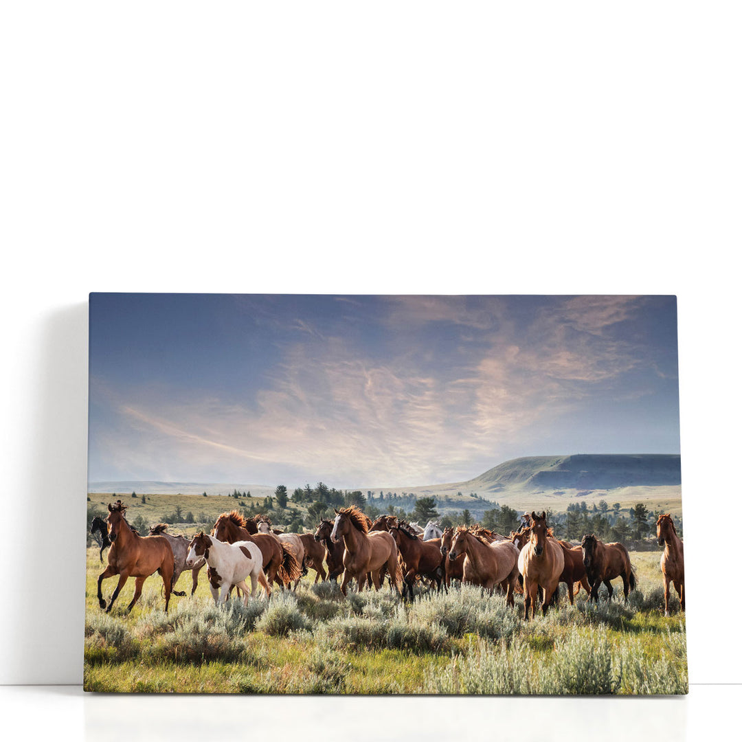 Montana Ranch Horses - Canvas Print Wall Art