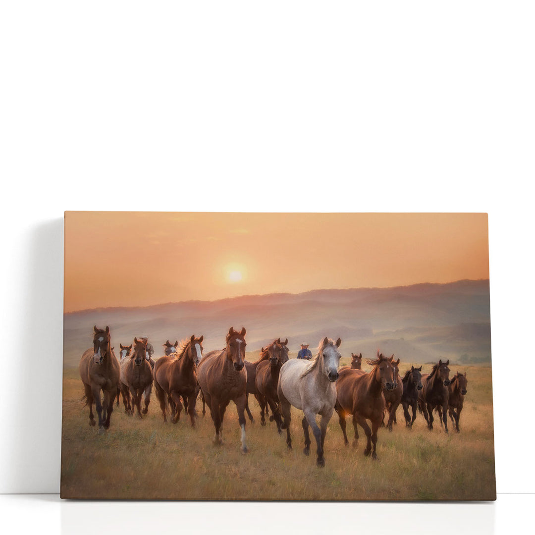 Morning Jingle - Canvas Print Wall Art