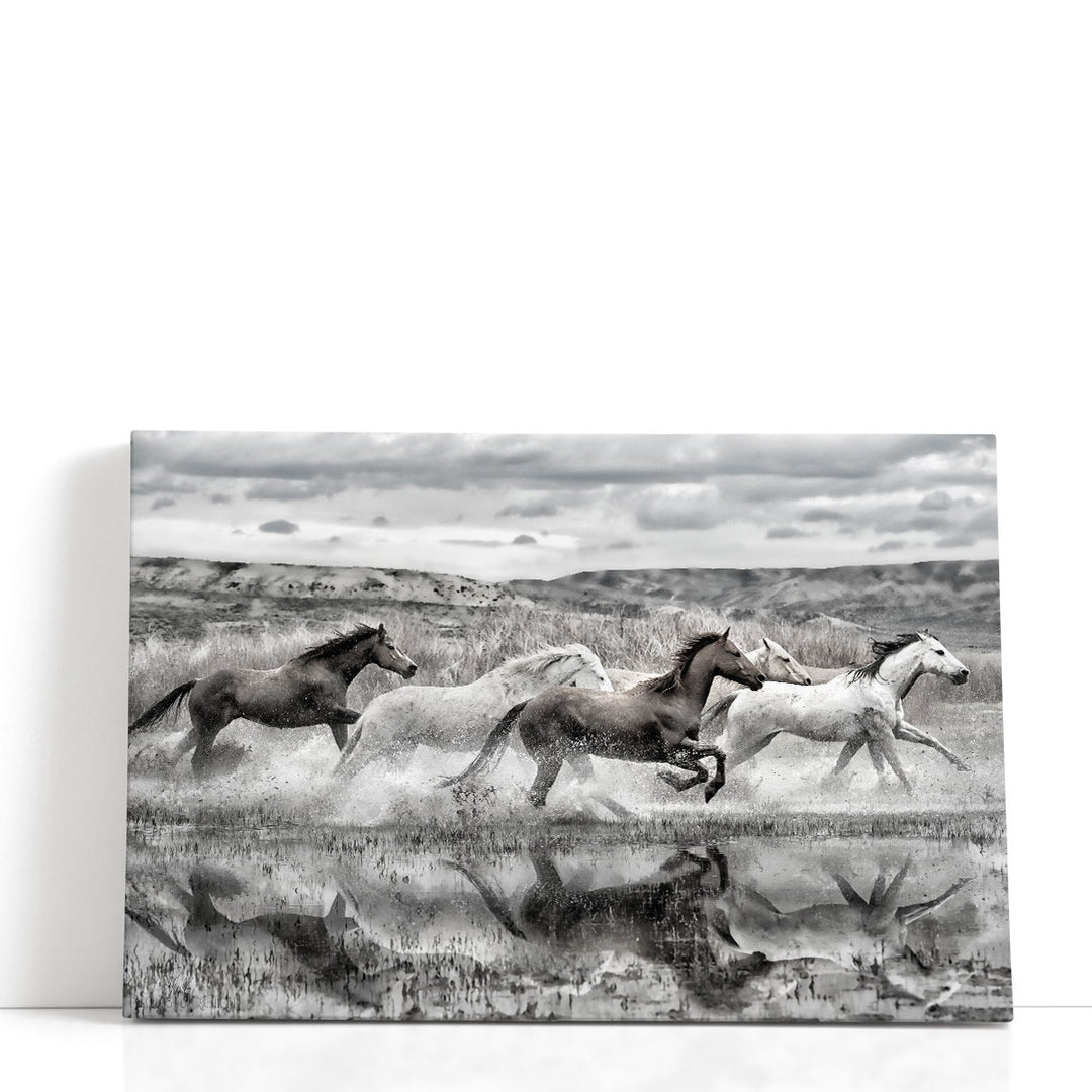 On The Run - Canvas Print Wall Art
