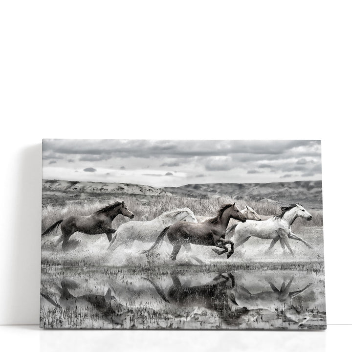On The Run - Canvas Print Wall Art