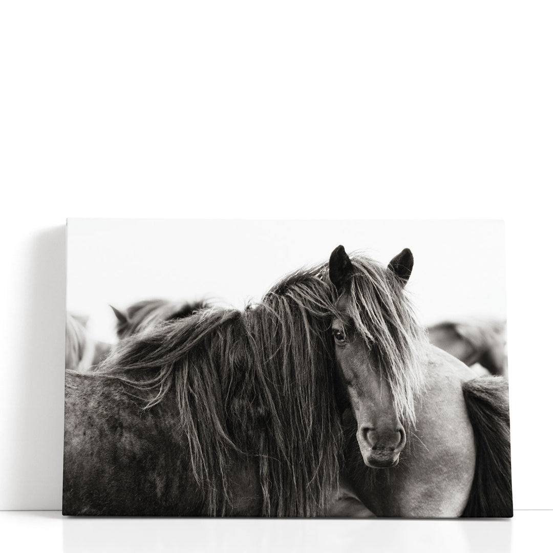 Stand Alone - Canvas Print Wall Art