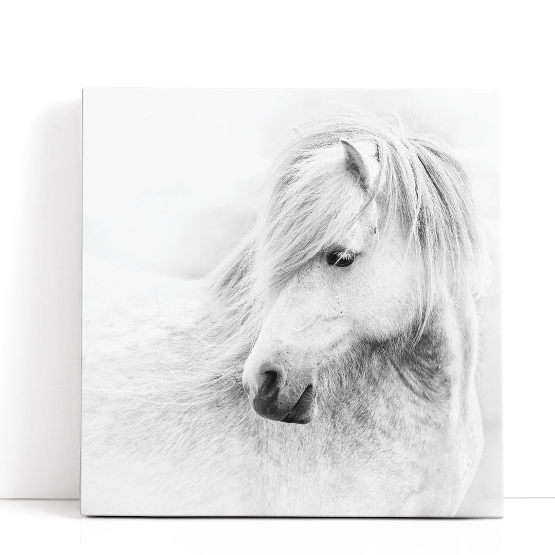 A Quiet Moment - Canvas Print Wall Art