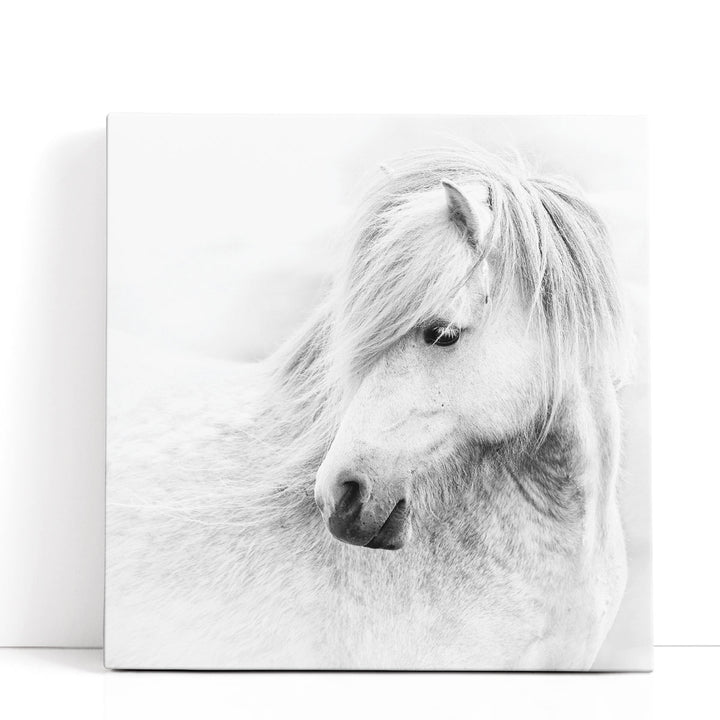 A Quiet Moment - Canvas Print Wall Art