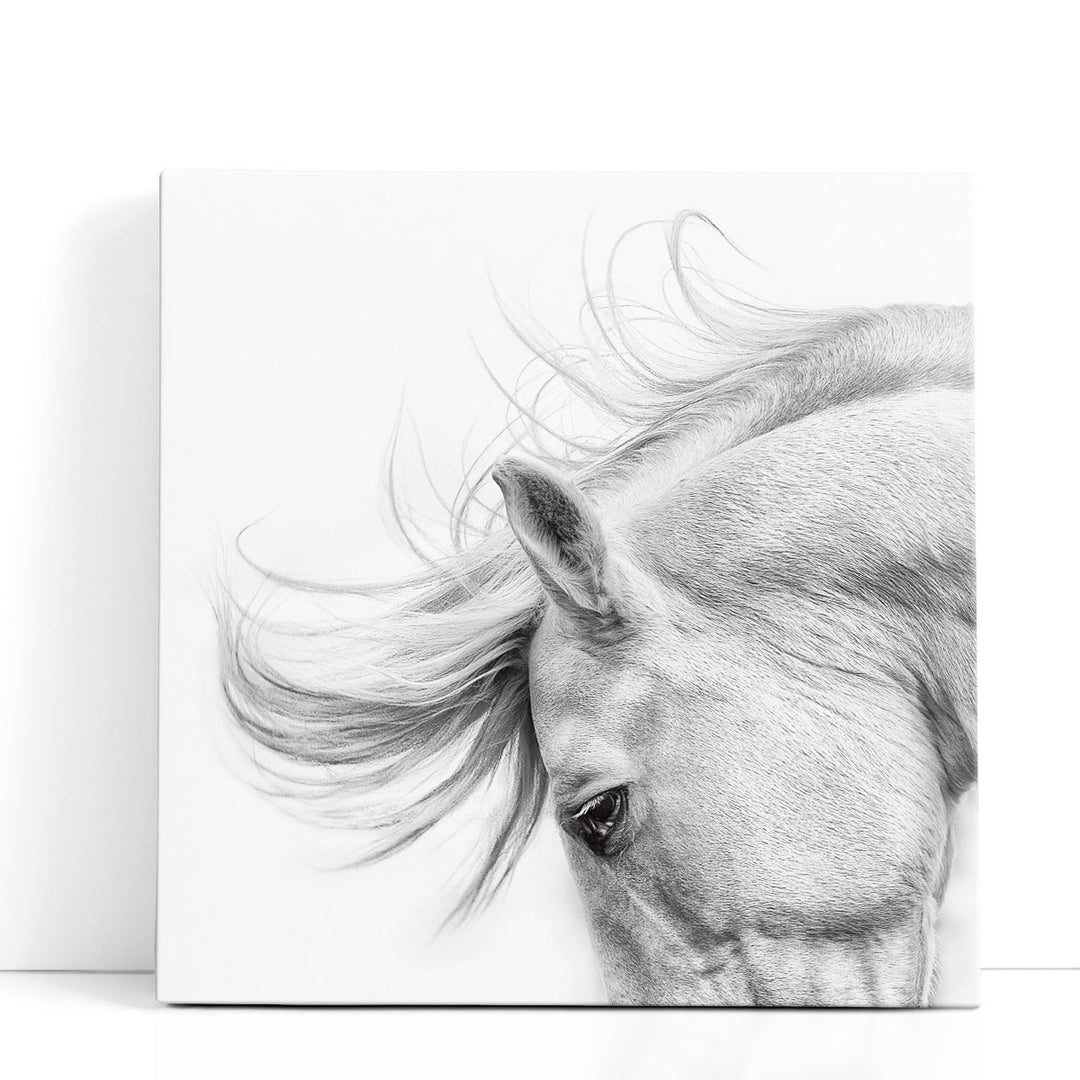 Flair - Canvas Print Wall Art
