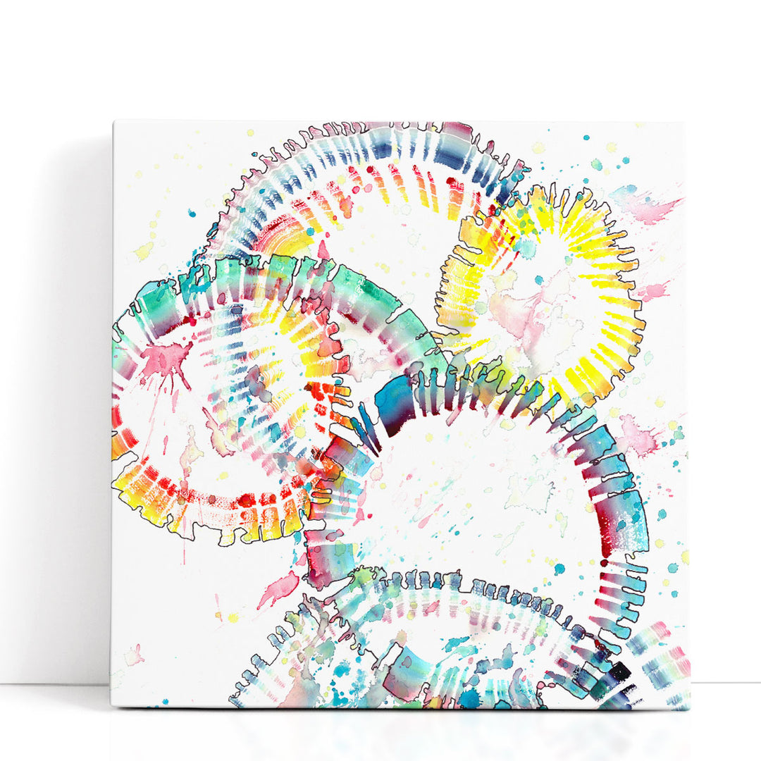Rainbow Burst - Canvas Print Wall Art