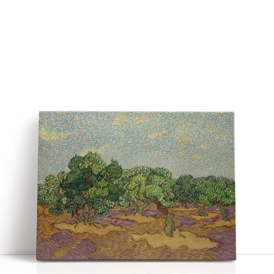 Olive tree prints with soft green and brown tones