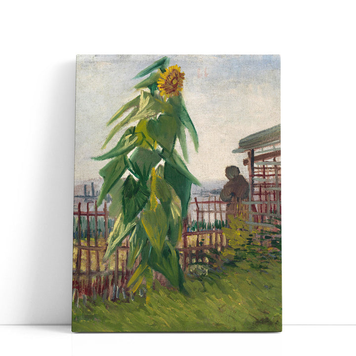Allotment with Sunflower, 1887 - Canvas Print Wall Art