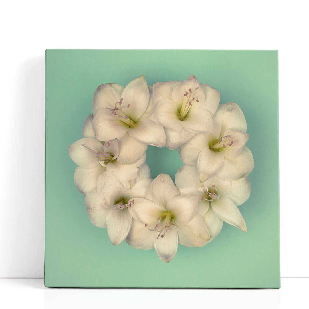Amaryllis Flower Wreath 3 - Canvas Print Wall Art