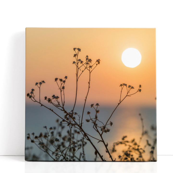 Plants Silhouette - Canvas Print Wall Art